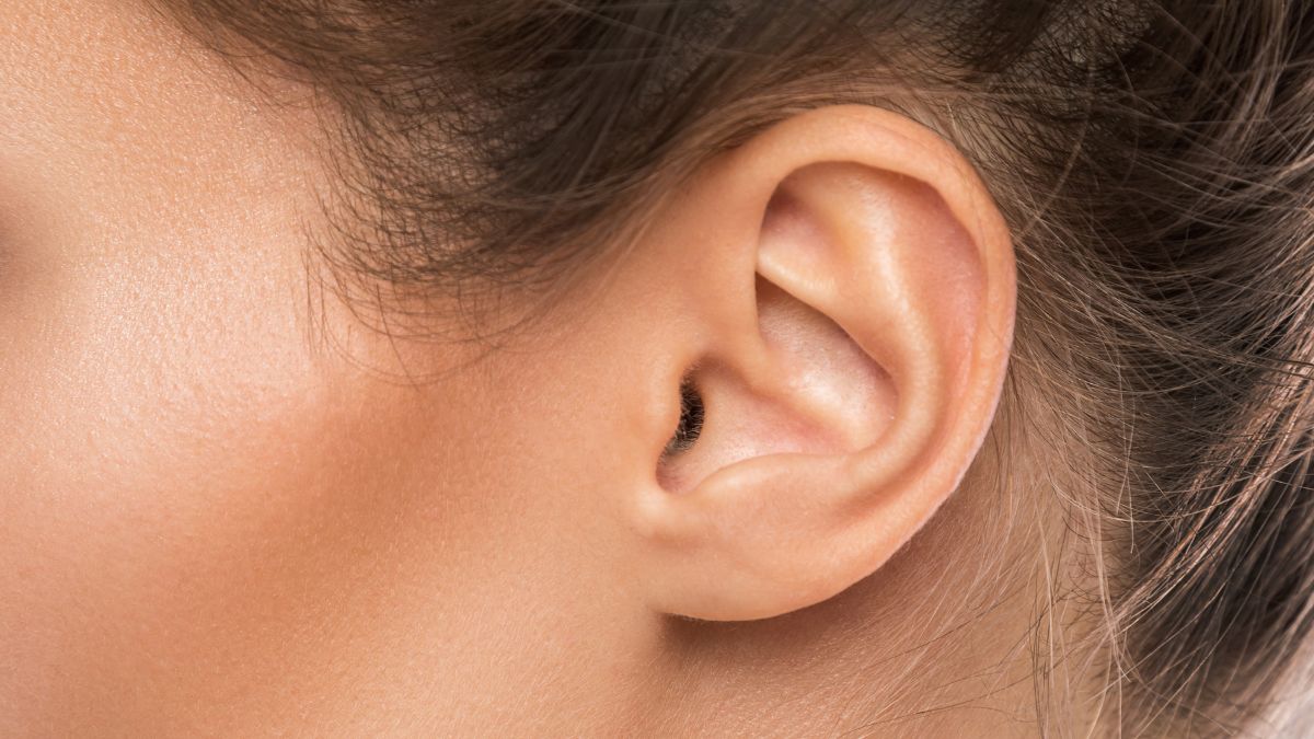 Imagem do curso Furo de Orelha Humanizado e Body Piercing
